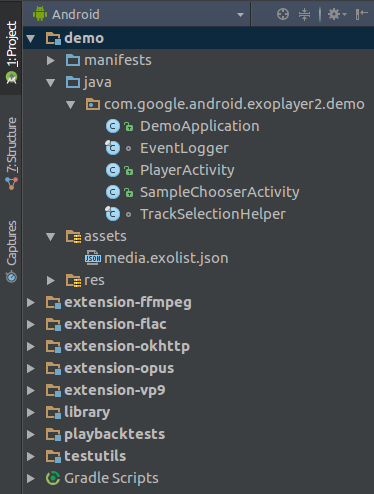 The project in Android Studio